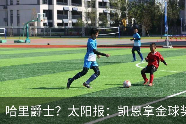 哈里爵士？太阳报：凯恩拿金球奖后封爵呼声高涨