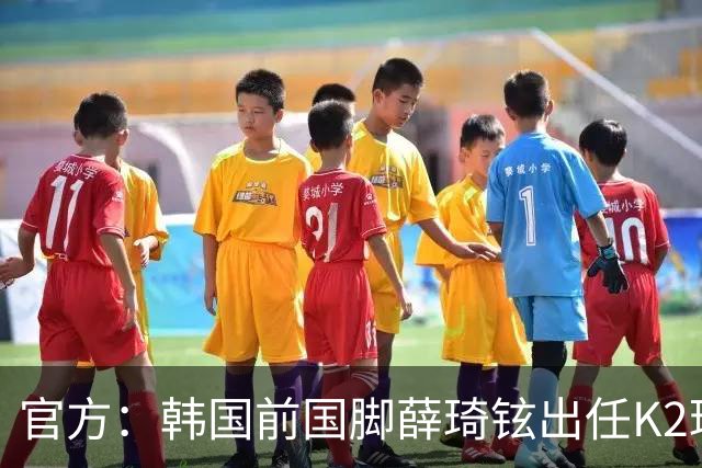 官方：韩国前国脚薛琦铉出任K2球队金海主帅