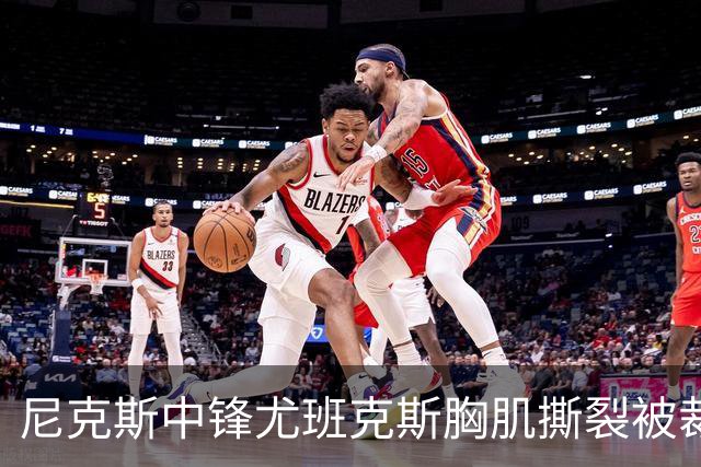 尼克斯中锋尤班克斯胸肌撕裂被裁，怀斯曼布拉德利竞争第14个名额