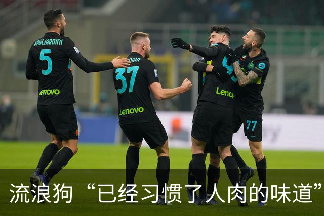 流浪狗“已经习惯了人肉的味道”