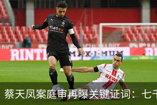 蔡天凤案庭审再曝关键证词：七千万全款买楼写别人名字，这笔账最后用命来还