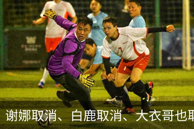 谢娜取消、白鹿取消、大衣哥也取消！只因他们踩了中国人3大雷区