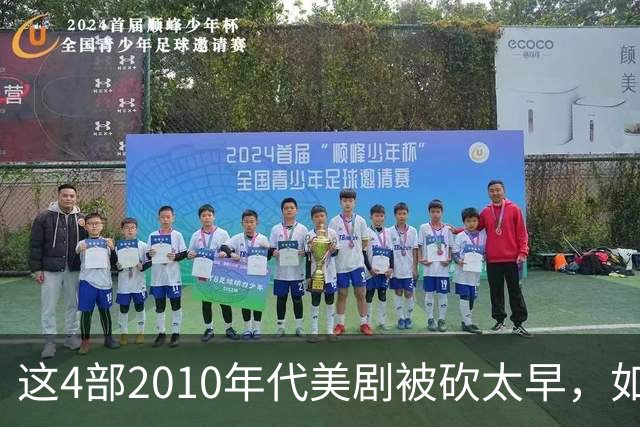 这4部2010年代美剧被砍太早，如今值得翻红