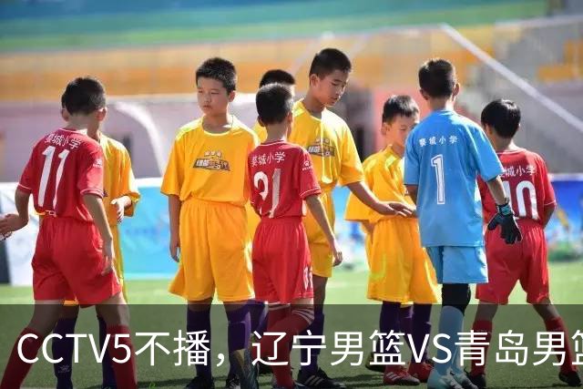 CCTV5不播，辽宁男篮VS青岛男篮，库珀对阵威瑟斯庞，姜宇星能否王睿泽